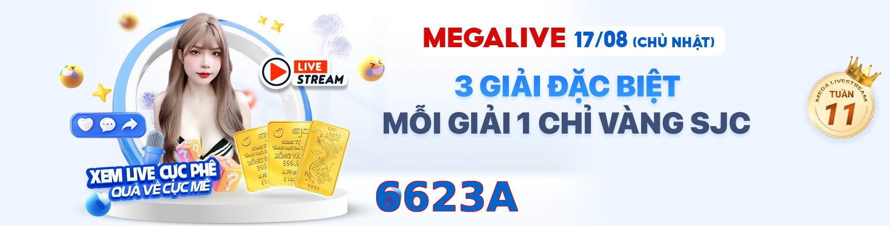 6623A